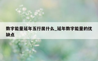 数字能量延年五行属什么_延年数字能量的优缺点