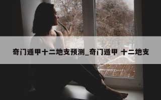 奇门遁甲十二地支预测_奇门遁甲 十二地支