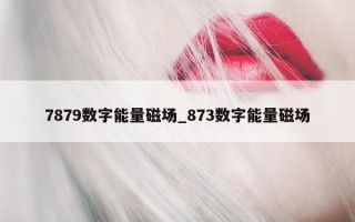 7879 数字能量磁场_873 数字能量磁场