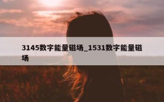 3145 数字能量磁场_1531 数字能量磁场