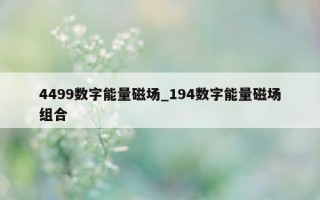 4499 数字能量磁场_194 数字能量磁场组合