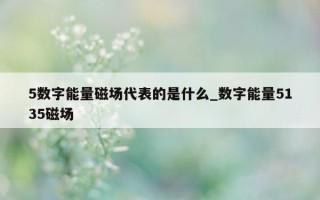 5数字能量磁场代表的是什么_数字能量5135磁场