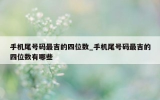 手机尾号码最吉的四位数_手机尾号码最吉的四位数有哪些