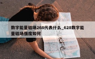 数字能量磁场 268 代表什么_628 数字能量磁场强度如何