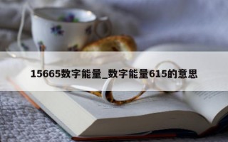 15665 数字能量_数字能量 615 的意思