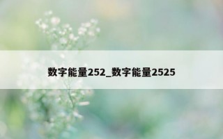 数字能量 252_数字能量 2525