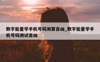 数字能量学手机号码测算吉凶_数字能量学手机号码测试吉凶