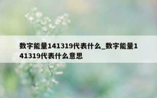 数字能量 141319 代表什么_数字能量 141319 代表什么意思