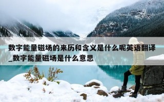 数字能量磁场的来历和含义是什么呢英语翻译_数字能量磁场是什么意思