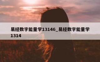 易经数字能量学 13146_易经数字能量学 1314