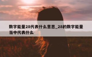 数字能量 28 代表什么意思_28 的数字能量当中代表什么