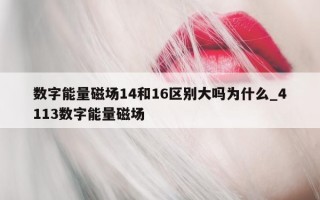 数字能量磁场 14 和 16 区别大吗为什么_4113 数字能量磁场