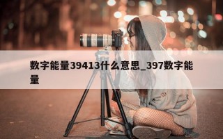 数字能量 39413 什么意思_397 数字能量