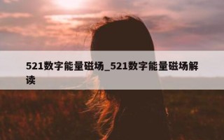 521 数字能量磁场_521 数字能量磁场解读