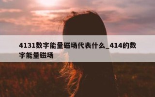 4131 数字能量磁场代表什么_414 的数字能量磁场