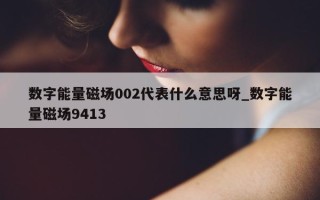 数字能量磁场 002 代表什么意思呀_数字能量磁场 9413