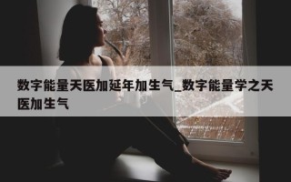 数字能量天医加延年加生气_数字能量学之天医加生气