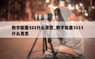 数字能量 321 什么意思_数字能量 3113 什么意思