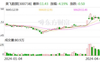 奥飞数据拟发行可转债募资不超 9.05 亿元