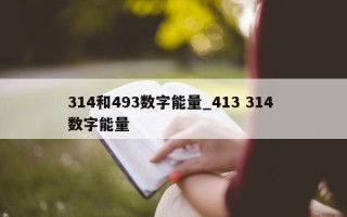 314 和 493 数字能量_413 314 数字能量