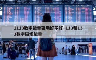 1113 数字能量磁场好不好_113 和 133 数字磁场能量