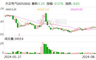 天正电器 ：上半年营收 15.3 亿元 拟 10 派 1 元