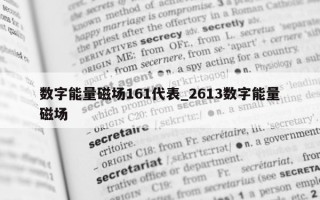 数字能量磁场 161 代表_2613 数字能量磁场