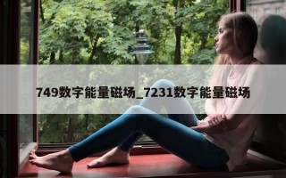 749 数字能量磁场_7231 数字能量磁场