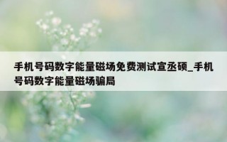 手机号码数字能量磁场免费测试宣丞硕_手机号码数字能量磁场骗局