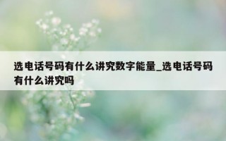 选电话号码有什么讲究数字能量_选电话号码有什么讲究吗