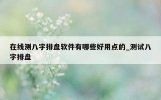 在线测八字排盘软件有哪些好用点的_测试八字排盘