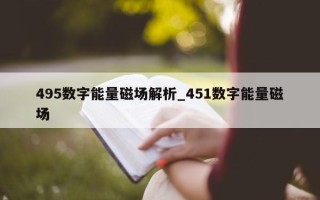 495 数字能量磁场解析_451 数字能量磁场