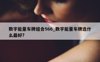 数字能量车牌组合 566_数字能量车牌选什么最好?