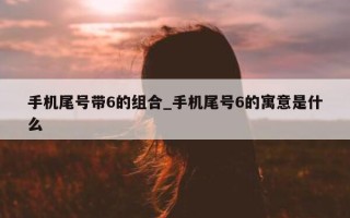 手机尾号带 6 的组合_手机尾号 6 的寓意是什么