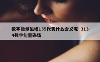 数字能量磁场 135 代表什么含义呢_3134 数字能量磁场