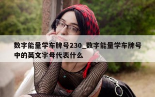 数字能量学车牌号 230_数字能量学车牌号中的英文字母代表什么