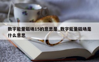 数字能量磁场 15 的意思是_数字能量磁场是什么意思