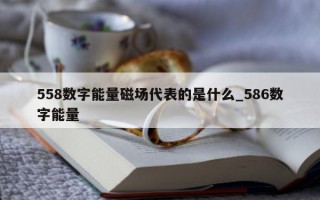 558 数字能量磁场代表的是什么_586 数字能量