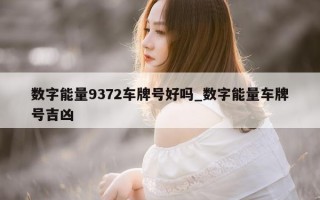 数字能量 9372 车牌号好吗_数字能量车牌号吉凶