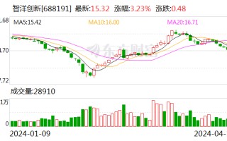 智洋创新：控股股东及实控人承诺 6 个月内不减持公司股份