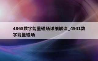 4865 数字能量磁场详细解读_4931 数字能量磁场