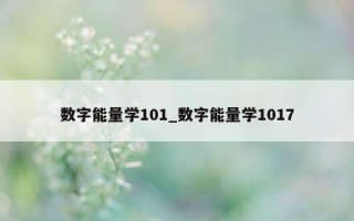 数字能量学101_数字能量学1017