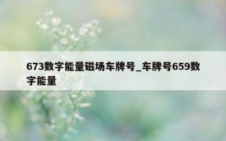 673 数字能量磁场车牌号_车牌号 659 数字能量