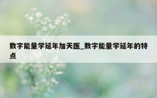 数字能量学延年加天医_数字能量学延年的特点