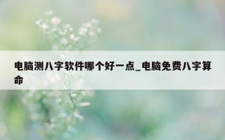 电脑测八字软件哪个好一点_电脑免费八字算命