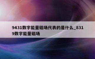 9431 数字能量磁场代表的是什么_8319 数字能量磁场