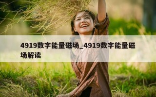 4919 数字能量磁场_4919 数字能量磁场解读