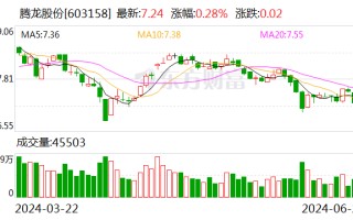 腾龙股份拟投资不超 600 万欧元 设立摩洛哥全资孙公司