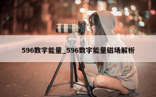 596数字能量_596数字能量磁场解析