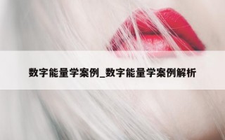 数字能量学案例_数字能量学案例解析